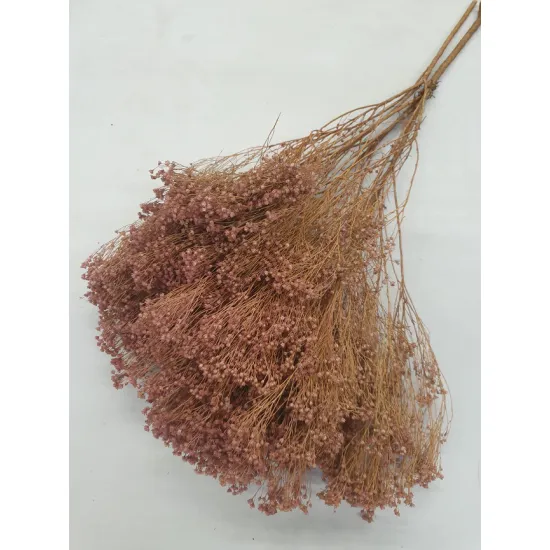 BROOM BLOOM OUDROZE +/-100GR BOPP/kraft