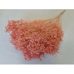 BROOM BLOOM SALMON +/-100GR