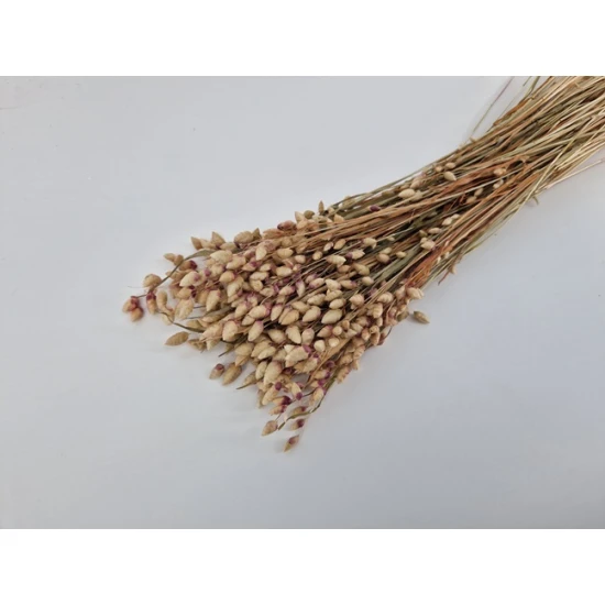 BRIZA MAXIMA NATUREL 1/2 BOPP/kraft