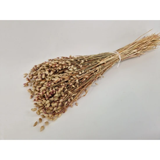 BRIZA MAXIMA NATURAL