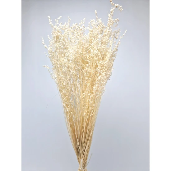 BRIZA MINIMA BLANCHI +/-100GR BOPP/kraft emballage hobby