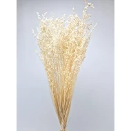 BRIZA MINIMA GEBLEEKT +/-100GR