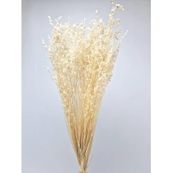 BRIZA MINIMA GEBLEEKT +/-100GR