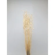 BRIZA MINIMA BLANCHI +/-50GR BOPP/kraft emballage hobby