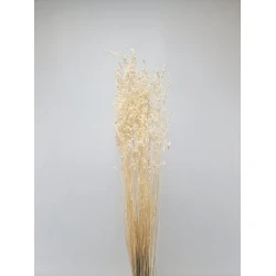 BRIZA MINIMA BLEACHED +/-50GR BOPP/kraft Small packaging