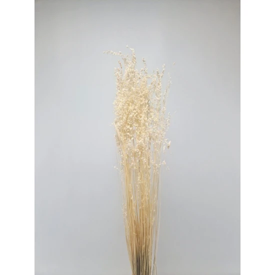 BRIZA MINIMA BLANCHI +/-50GR BOPP/kraft emballage hobby