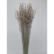 BRIZA MINIMA NATUREL VERT +/-50GR BOPP/kraft emballage hobby