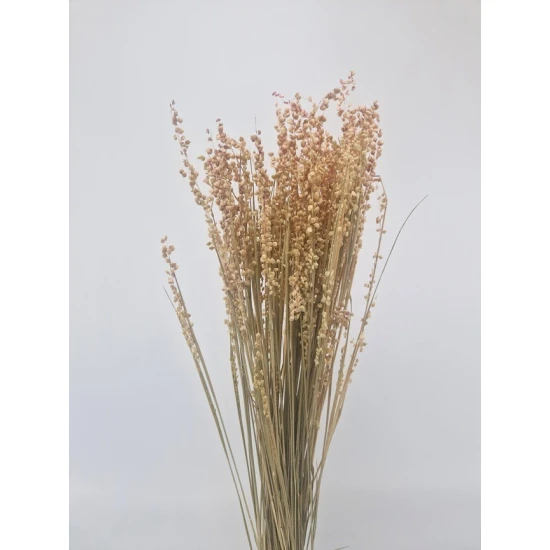 BRIZA MINIMA NATUREL ROSE +/-50GR BOPP/kraft