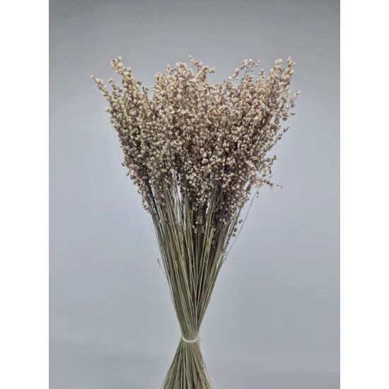 BRIZA MINIMA NATUREL VERT +/-100GR BOPP/kraft emballage hobby