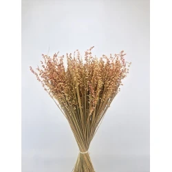 BRIZA MINIMA NATUREL ROZE +/-100GR