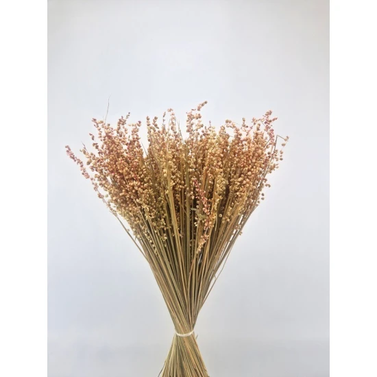 BRIZA MINIMA NATUREL ROZE +/-100GR