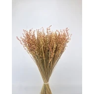 BRIZA MINIMA NATURAL PINK +/-100GR BOPP/kraft Small packaging