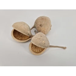 BUDHA NUTS GEBLEEKT 10ST