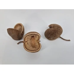 BUDHA NUTS NATUREL 10ST