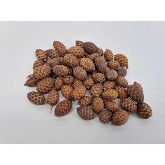 CANE FRUIT NATURAL +/-150GR