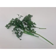 CANELLA APPELGROEN 20ST