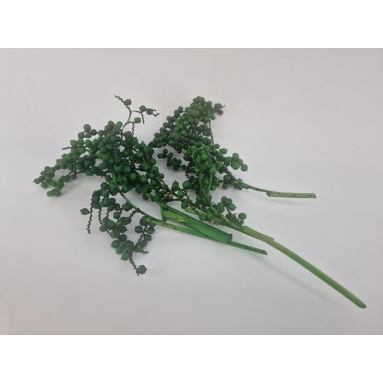 CANELLA APPELGROEN 20ST