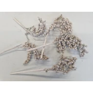 CANELLA FROSTED WHITE 20PCS