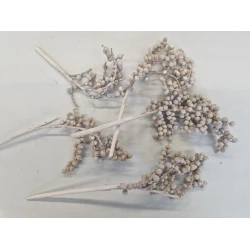 CANELLA FROSTED WHITE 20ST