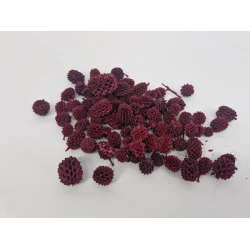 CASURINA ROOD +/-75GR