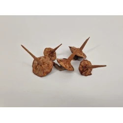 CEDER BASIS NATUREL 5ST