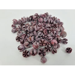 CHILONI RED WASH +/-100GR