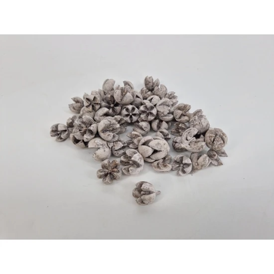 CHILONI WHITE WASH +/-1KG