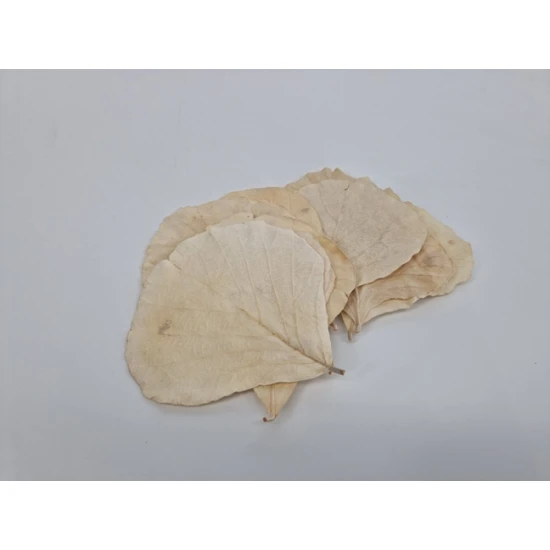 COBRA BLAD GEBLEEKT 50ST