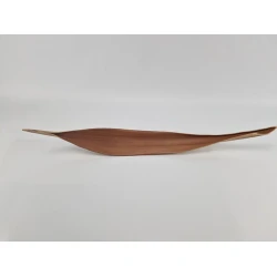 COCOS 60/80CM NATUREL 1ST