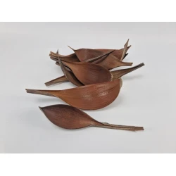 COCOS MEDIUM NATUREL 10ST