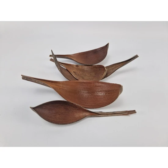 COCOS MEDIUM NATURAL 5PCS