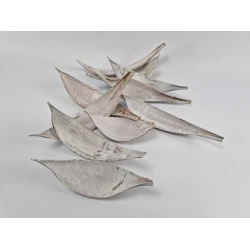 COCOS MEDIUM WIT 10ST