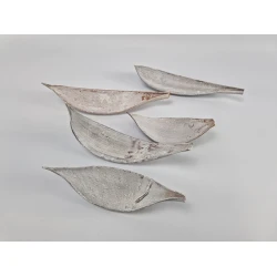 COCOS MEDIUM WHITE 5PCS