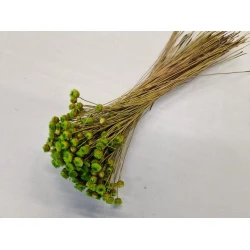 CONGONHAS LIME GREEN +/-50GR BOPP/kraft Small packaging