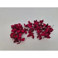 COTTON PODS FUCHSIA +/-250GR