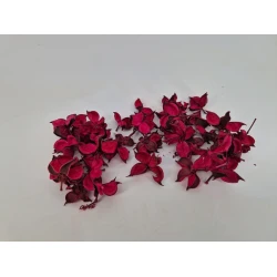 COTTON PODS FUCHSIA +/-250GR