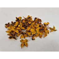 COTTON PODS GEEL +/-50GR