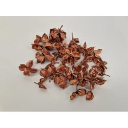 COTTON PODS COPPER +/-250GR