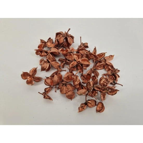 COTTON PODS COPPER