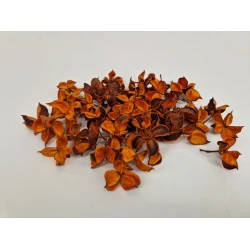 COTTON PODS ORANGE (APRICOT) +/-250GR