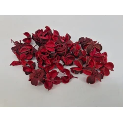 COTTON PODS RED +/-250GR