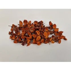 COTTON PODS TERRACOTTA +/-250GR