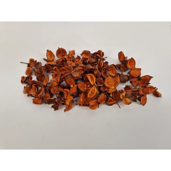 COTTON PODS TERRACOTTA +/-250GR