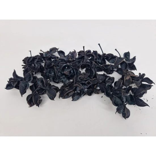 COTTON PODS BLACK