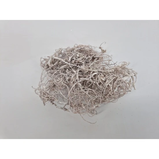 CURLY MOS WHITE WASH