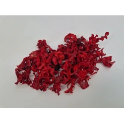 CURLY PODS RED +/-250GR