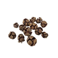 CYPRESSUS NATUREL +/-100GR