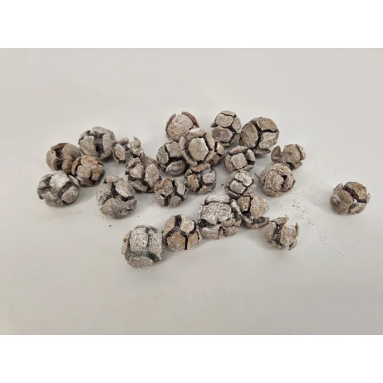 CYPRESSUS WHITE WASH +/-500GR