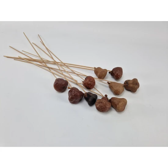 DAUMPALM NATURAL 10PCS