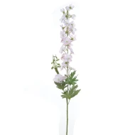 DELPHINIUM 80CM ROZE